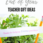 Simple End of Year Teacher Gift Ideas - Simply 2 Moms