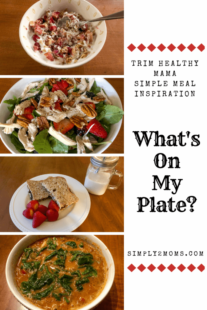 THM Simple Meal Inspiration | www.simply2moms.com | Ideas for a day of meals as a Trim Healthy Mama. #THM #TrimHealthyMama #whatdoIeat #whatsonmyplate #mealplanning #mealideas #simplemealideas #THMS #lchf #keto #ketosoup #THMsoup #lowcarbsoup #pizzasoup #THME #turkeyleftovers #thanksgivingleftovers #ketosalad #lchfsalad