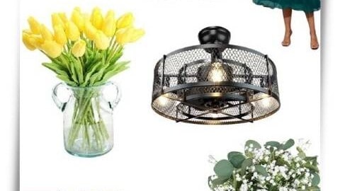 feature image for Friday favorites