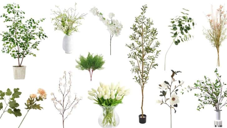 collage of spring trees, florals and stems for feature image