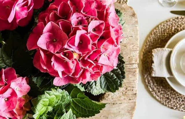 overhead view of beautiful Mother's Day table