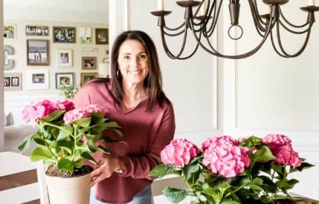 AnnMarie holding potted hydrangea plant near table