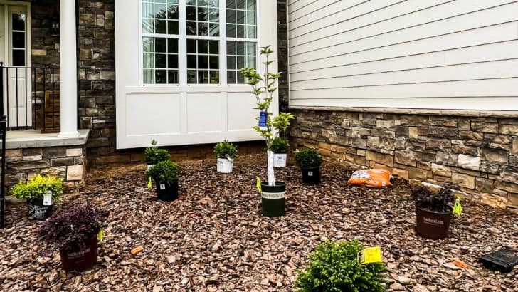 front of house with new shrubs laid out in pots before planting feature image