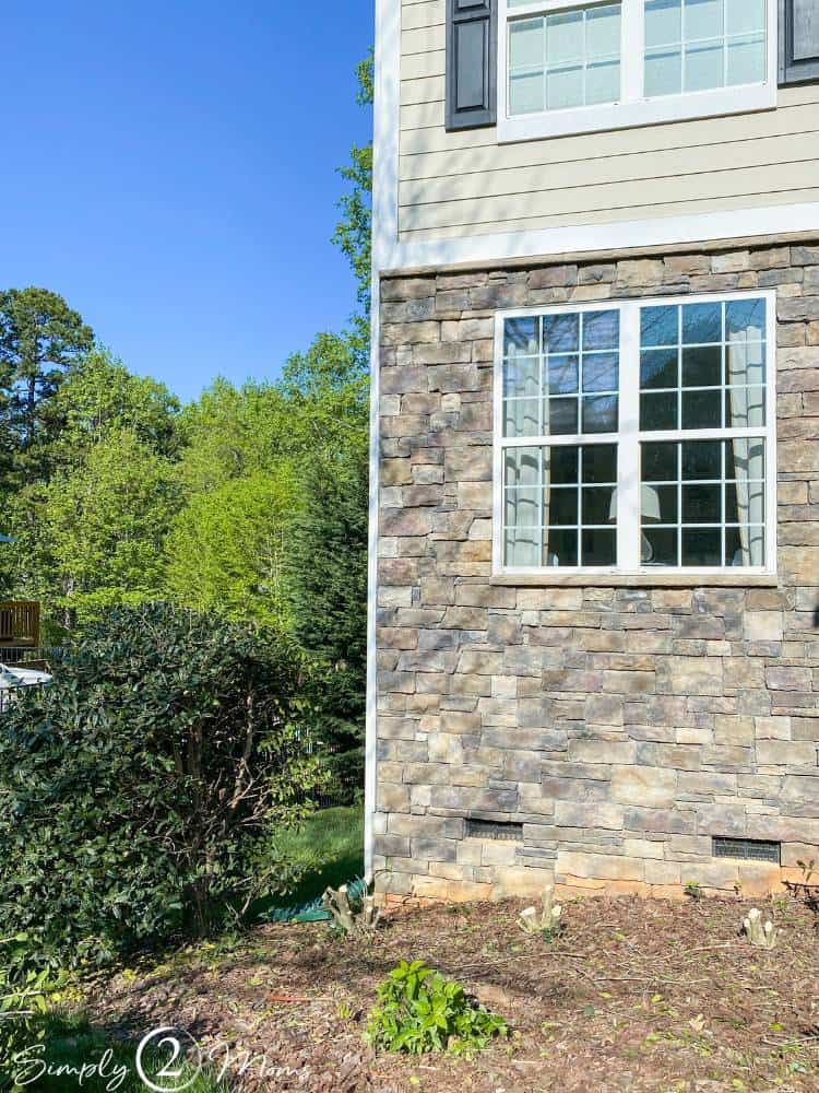 view of home after three holly bushes cut down showing roots