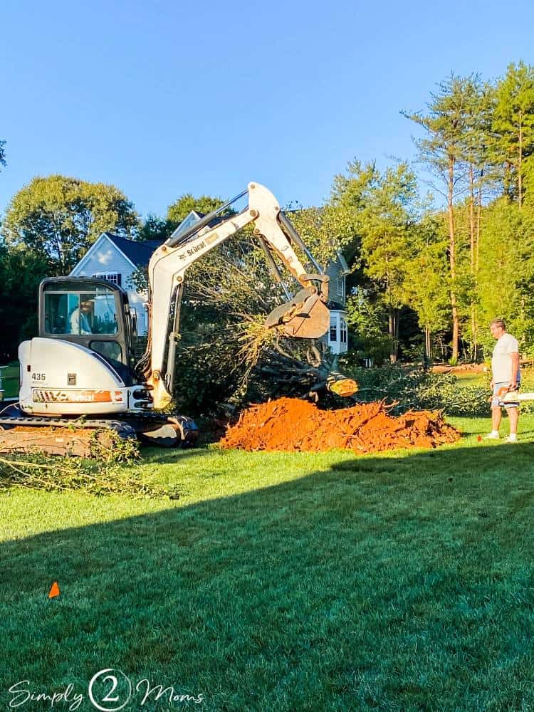 small excavator taking down tree in front yard