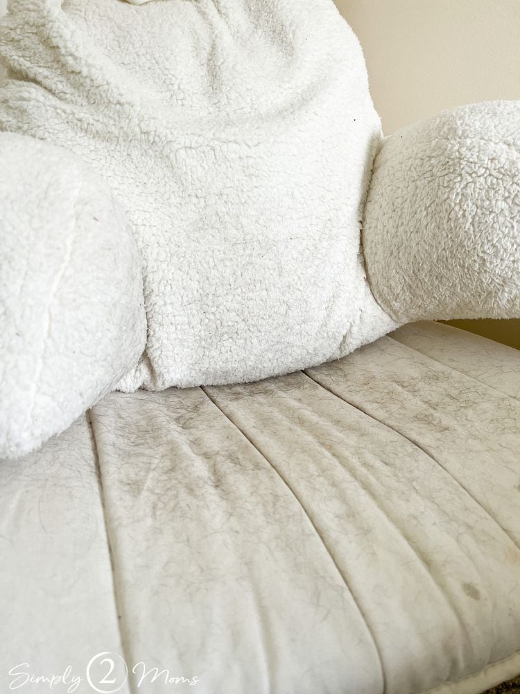 Cream fabric chair covered with black cat fur.