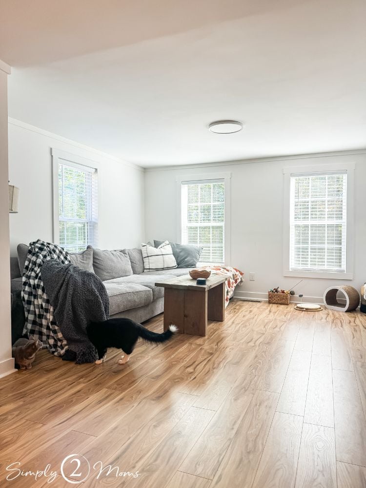 Living room with light wood floors, white walls, and gray couch.