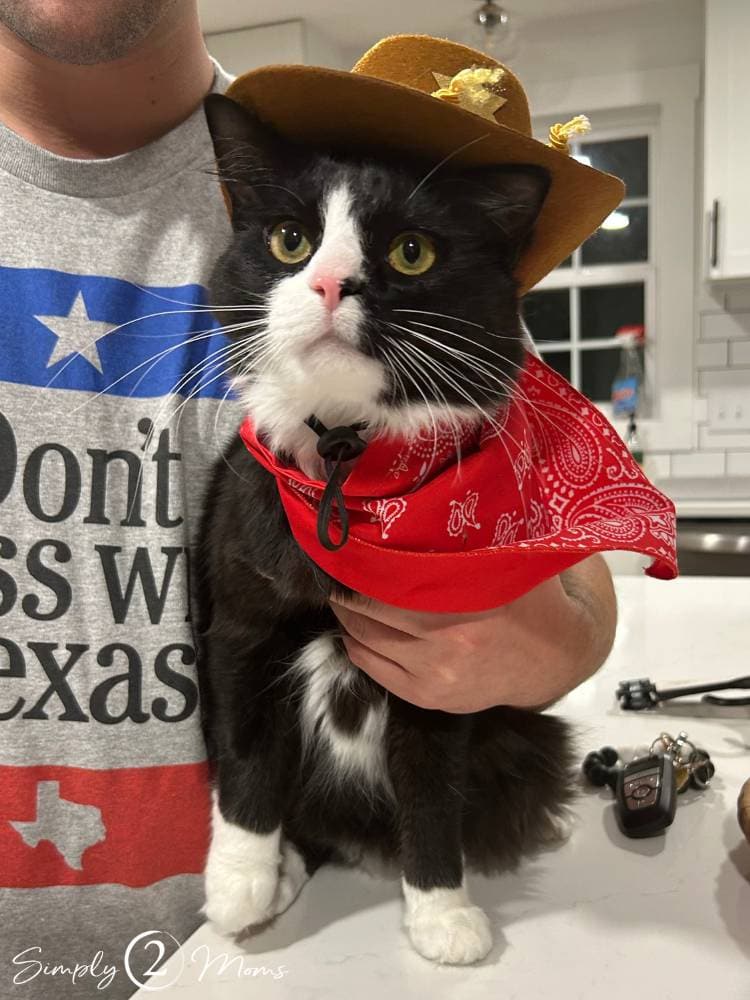 black and white cat dressed as cowboy for Halloween