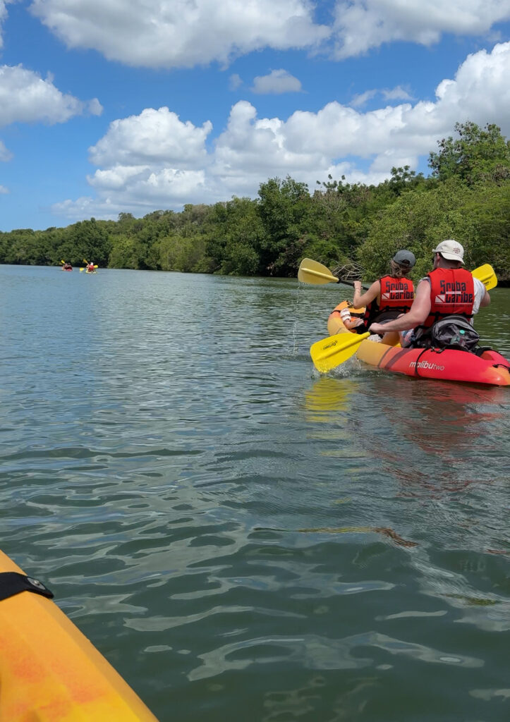 Family paddling together in tandem kayaks on a calm river, spending quality outdoor time with young adult children.